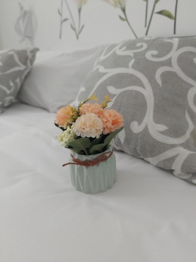 Candy'S Dream Rooms لا سبيتسْيا المظهر الخارجي الصورة